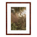 Wissellijst Wortelnoten 50x60 cm - Art Print en Passe Partout
