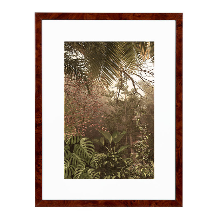 Wissellijst Wortelnoten 50x60 cm - Art Print en Passe Partout