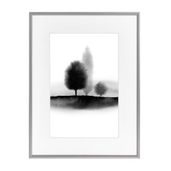 Wissellijst 60x70cm Zilver met print
