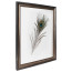 Fotolijst Transparant Barok 40x60 cm