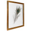 Fotolijst Transparant Goud 30x40 cm