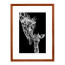 Wissellijst Kersen 50x65 cm - Art Print en Passe Partout