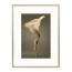 Wissellijst Champagne 30x40 cm - Art Print en Passe Partout