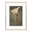 Wissellijst Champagne A4 - Art Print en Passe Partout
