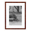 Wissellijst Wortelnoten 50x60 cm - Art Print en Passe Partout