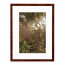 Wissellijst Wortelnoten 13x18 cm - Art Print en Passe Partout