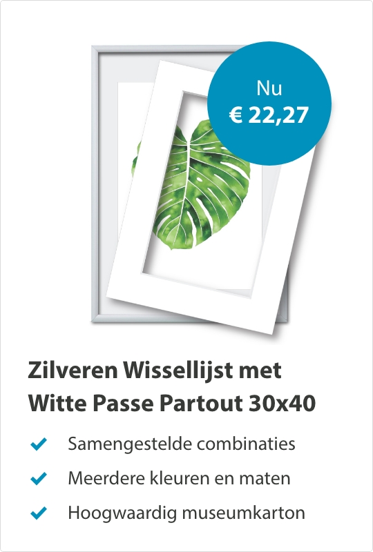 Wissellijst met Passe Partout Zilver