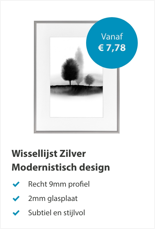 Wissellijst Zilver
